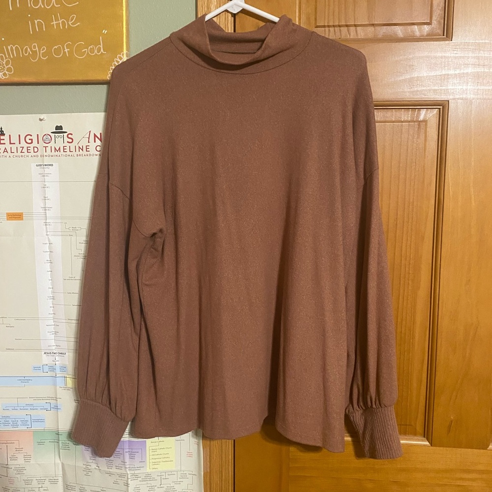 Brown Long Sleeve Turtleneck Top